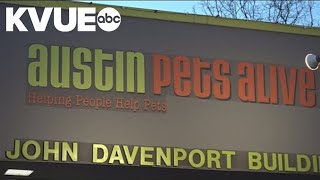 Austin Pets Alive! laying off 10% of staff but remains committed to same care for pets