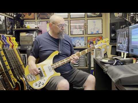 Nirvana - Come As You Are Bass Cover