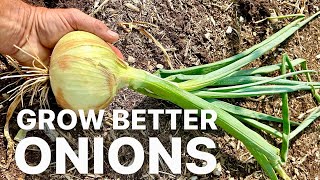 Grow Onions from Seed not Sets