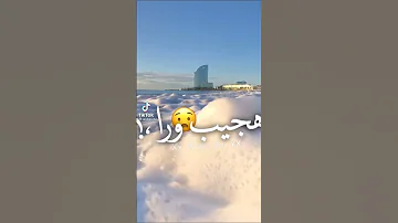 اغنيه بتهددني بالبعد مفكراني اجيب ورا 