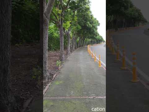 嘉義縣大林自行車道在官方地圖上是起自大林糖廠的中山堂旁。影片中的地點是0.6K處，一個名為「三角澭仔」的地方