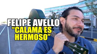CALAMA ES HERMOSO - #FelipeAvello en vivo desde #Calama 2023