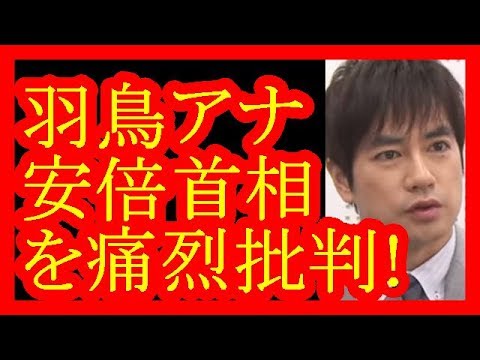 【羽鳥慎一】安倍晋三首相「獣医学部を全国に」発言を批判ｗ【だみんちゃんねる】