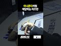 아나콘다처럼 제압하는 리즈반