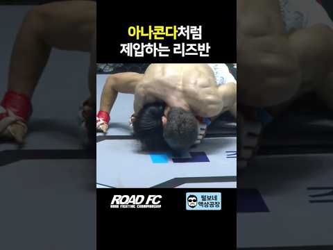 아나콘다처럼 제압하는 리즈반