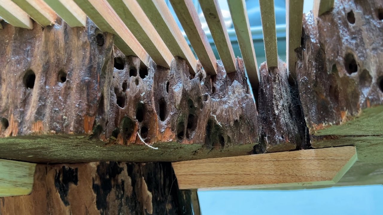 Crafting a One-of-a-Kind Coffee Table with Leftover Wood Pieces