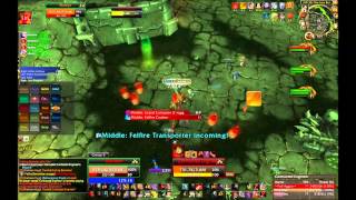 Mythic Hellfire Assault Protection Warrior POV