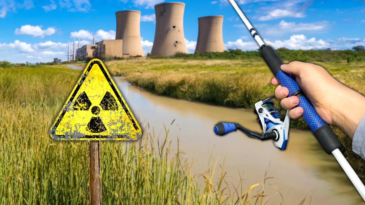 Insane Fishing Charters Prices Per Person