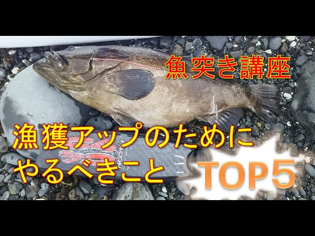 スピアフィッシング魚突き殺傷能力なし