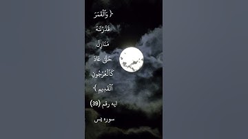 ايه رقم ٣٩ سورة يس .. بصوت الشيخ ابوبكر الشطرى