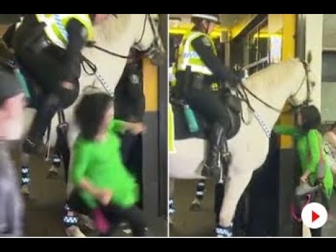 Woman Punches Police Horse Before Officer Grabs Hair And Throws Her To The Floor