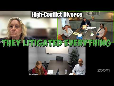 The Divorce Where Literally Everything Got Litigated