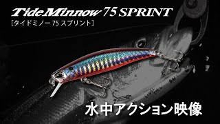 アグレッシブシンキングミノー「Tide Minnow SPRINT 75(タイドミノ―スプリント)」