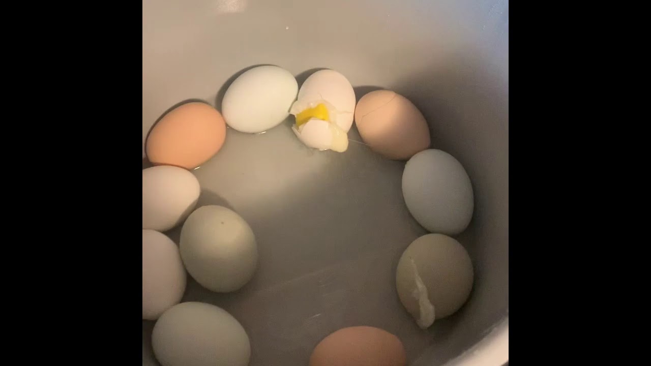 Ninja foodi 5-5-5 Method Of Boiling Eggs - YouTube