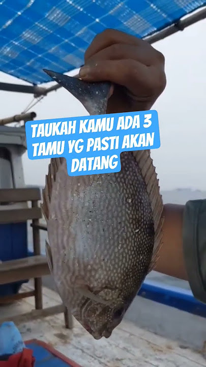 taukah kamu ada 3 tamu yg pasti akan datang #feedshorts #videoislami #fishing #rezeki