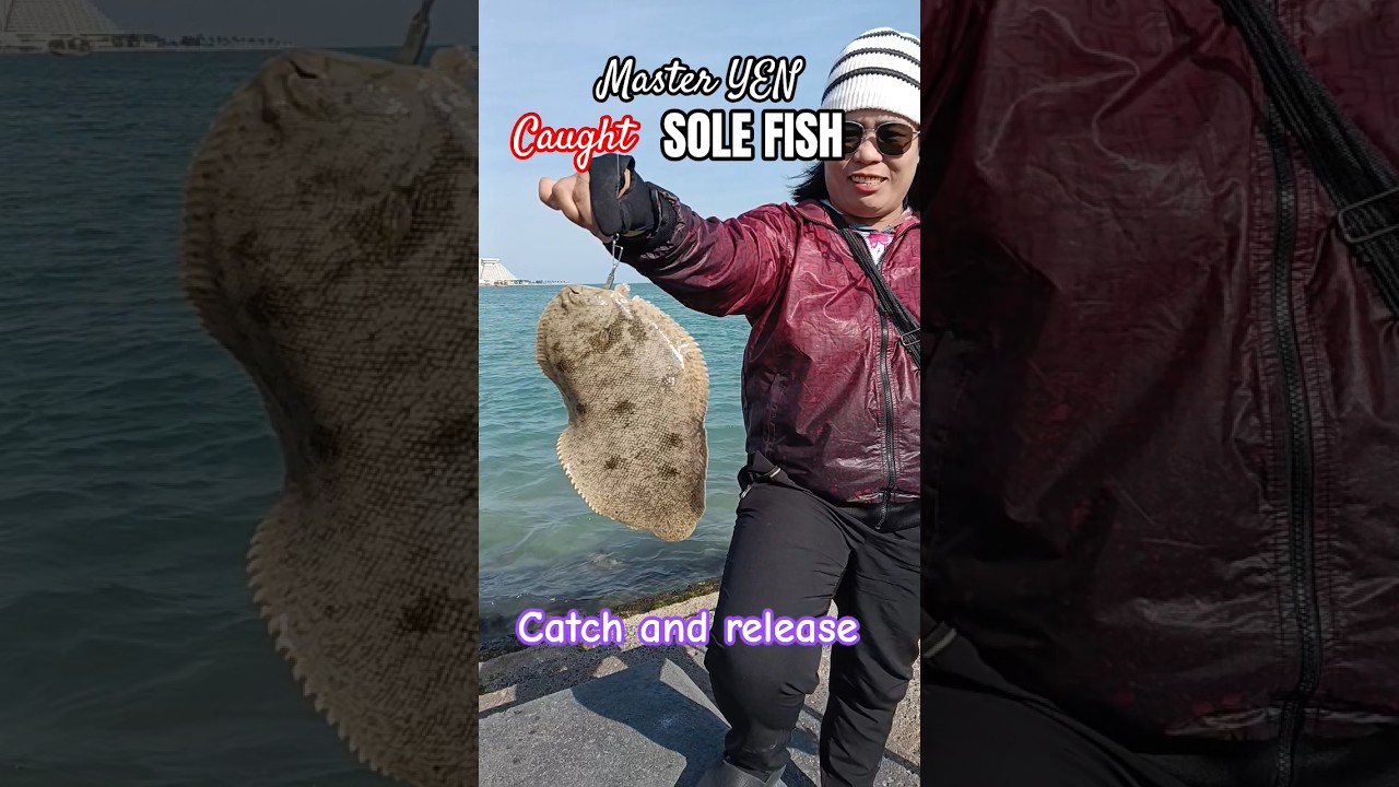 sole fish