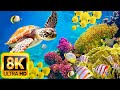 Planet Ocean 8K Ultra HD - Calm &amp; Relaxing Coral Reef Aquarium - 8K Video