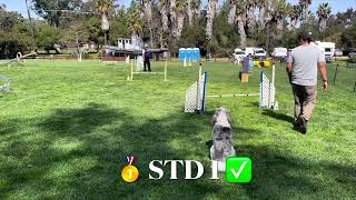 Keeshond Club of So. Cal AKC Trial March 9 & 10, 2024