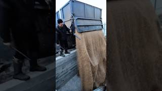 Animal Feed Mixing Process in Action!