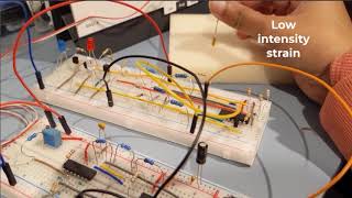 Bioinstrumentation Project Video