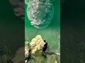 DETIK-DETIK MENAKJUBKAN! Menjala Ikan Raksasa Seukuran Monster! #fishing #shorts #fyp #trending