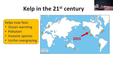 HMSC Summer Seminar Series: Dr. Sara Hamilton, Scientific Coordinator, The Oregon Kelp Alliance