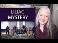 Voice Teacher Reaction to Liliac  - Mystery [Official Music Video]