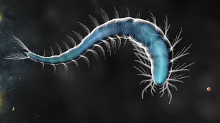 An Hour Of Hunting And Collecting DNA (AMPERIO) [Bionix Creature Creator] screenshot 5