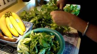 Fresh Frozen Basil Cubes