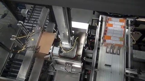 44886 BluePrint Automation (BPA) Case Packer for Bags and Cartons