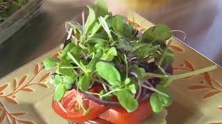 Growing And Selling Microgreens