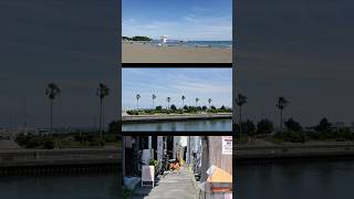 POV: Enoshima Photowalk | Canon Digicam SOOC #streetphotography #digicam #japan #kamakura
