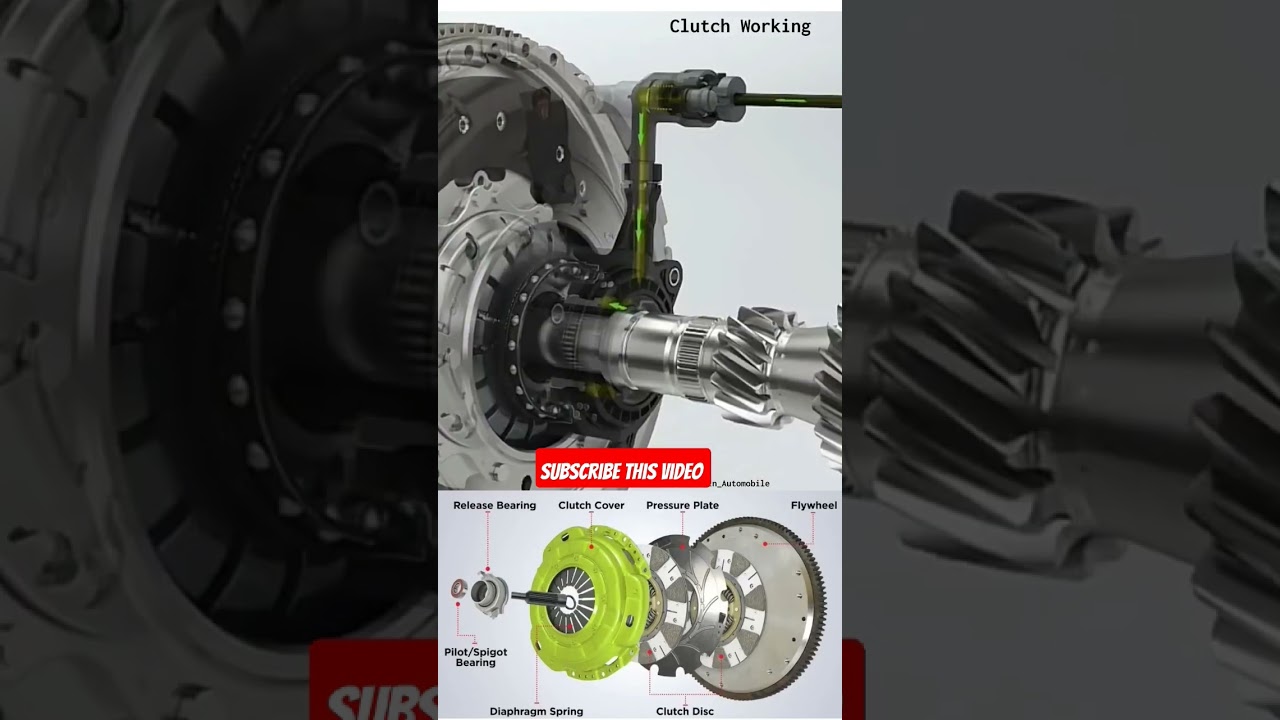 car clese palet working 