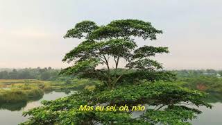 U2 - Shadows And Tall Trees / Saturday Matinee (Legendado em Português)
