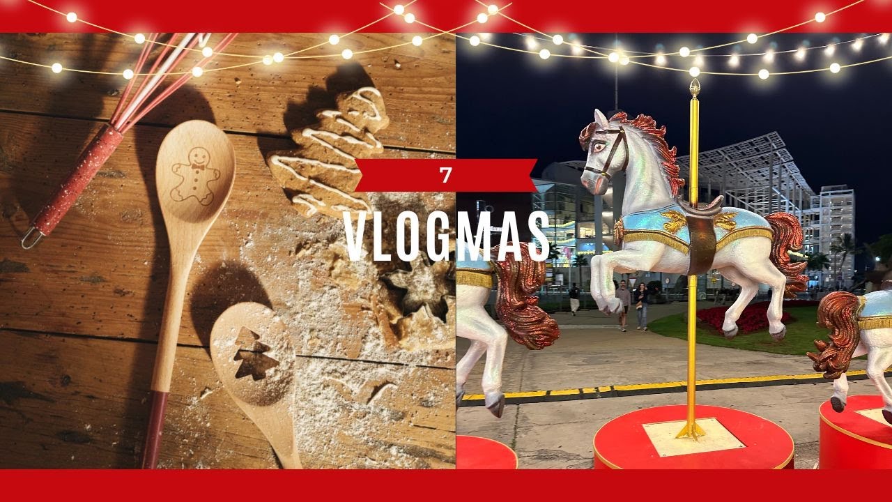 VLOGMAS 7 - Lefties Home