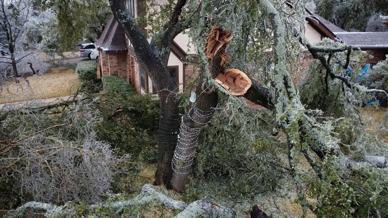 2023 02February 2 Ice storm damage to the Oaks.