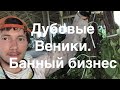 Дубовые веники. Бизнес на вениках для бани. Отправка дубовых веников