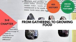 NCERT Class 6th history chapter 3rd: From gathering to growing food