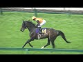 【現地 本馬場入場】2026 G1 桜花賞 ザ・チャンピオン 【阪神競馬場】