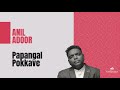 Papangal  anil adoor  live music program  gilgal ashwasabhavan  nethinims music