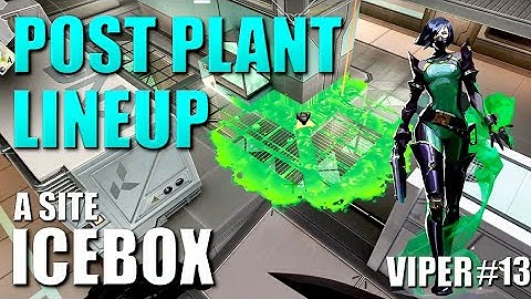 VIPER LINEUPS - ICEBOX - Post Plant Snake Bite Molly Setup Guides #13 - A Site - Default