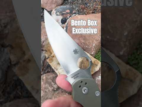 Spyderco Sunday: Paramilitary 2 in K390   