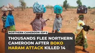 Information Thousands flee homes in Far North Cameroon after armed group raid kills 14 News