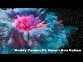 Daddy Yankee Ft Snow Con Calma 432Hz Daddy Yankee Ft Snow Con Calma 432Hz
