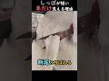 しっぽが短い羊だけ見える理由