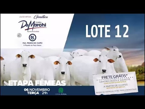 LOTE 12 (IDM 6395)