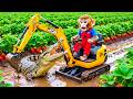 Monkey NaNa Saves Drought Strawberry Farm &amp; Escapes Crocodile Attack in CHAOTIC RESCUE!! 😱🚜🍓🐊