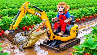Monkey NaNa Saves Drought Strawberry Farm &amp; Escapes Crocodile Attack in CHAOTIC RESCUE!! 😱🚜🍓🐊