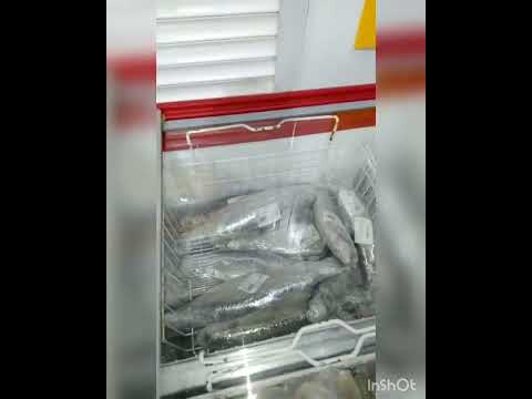 форель в Светофоре