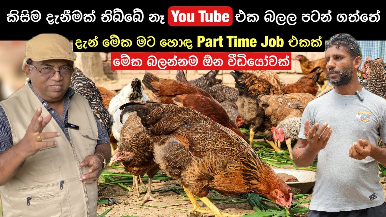 මම පටන් ගත්තේ සත්තු 100 කින් / වැඩ ඇරිලා ඇවිල්ලා ආසාවෙන් කරන Part Time Job එකක් මේක🐓🐣